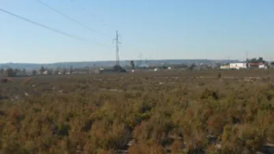 Casa – Elx - Elche - Vista 2