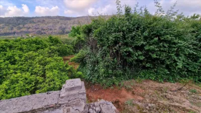 Finca rústica en venta en Calle Casella, El Respirall-Santa Maria de Bonaire-El Racó (Alzira) de 16.000 €