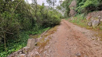 Finca rústica en venta en Calle Casella, El Respirall-Santa Maria de Bonaire-El Racó (Alzira) de 16.000 €