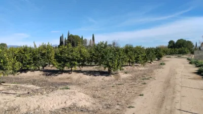 Rustic Finca on Camino Huerta De Abajo photo 10