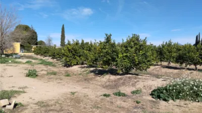 Rustic Finca on Camino Huerta De Abajo photo 13