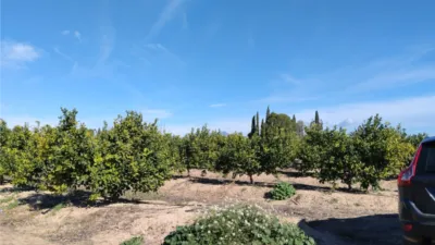 Rustic Finca on Camino Huerta De Abajo photo 12