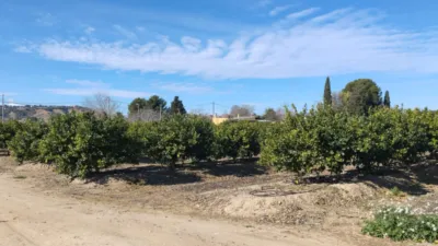 Rustic Finca on Camino Huerta De Abajo photo 3