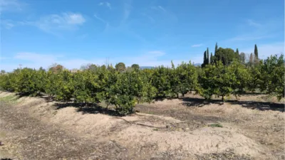Rustic Finca on Camino Huerta De Abajo photo 9