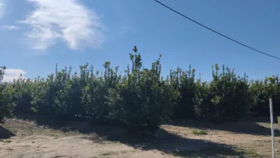 Rustic farm on Camino Huerta De Abajo photo 26