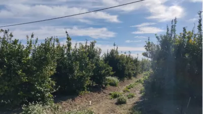 Rustic farm on Camino Huerta De Abajo photo 16
