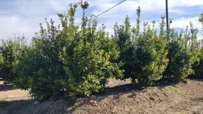 Rustic farm on Camino Huerta De Abajo photo 18