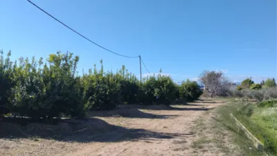 Rustic farm on Camino Huerta De Abajo photo 12