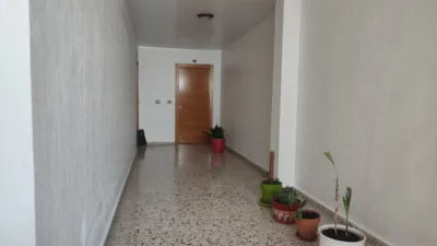 Apartment on Pedro Nogueroles Roche Street photo 18