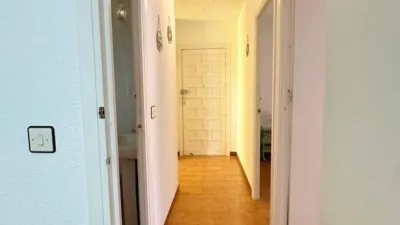 Apartment on Calle Cruz de Mayo photo 14