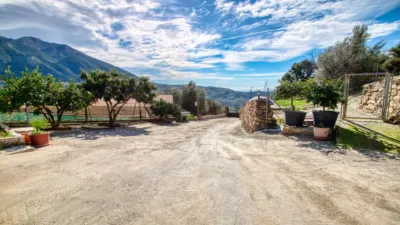 Rustic Finca on Calle Lagar El Pilarejo photo 21