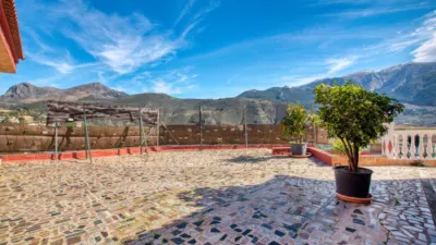 Rustic Finca on Calle Lagar El Pilarejo photo 17
