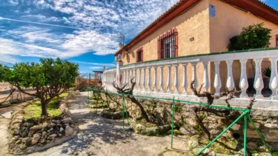 Rustic Finca on Calle Lagar El Pilarejo photo 18