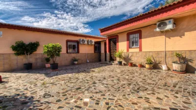 Rustic Finca on Calle Lagar El Pilarejo photo 16