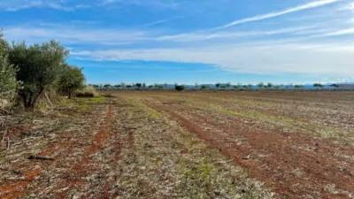 Finca rústica en venta en Polígono Chozuelas, Número S/N, Calera y Chozas de 55.000 €