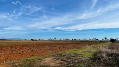Finca rústica en venta en Polígono Chozuelas, Número S/N, Calera y Chozas de 55.000 €