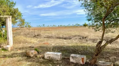 Finca rústica en venta en Polígono Chozuelas, Número S/N, Calera y Chozas de 55.000 €