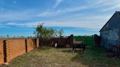 Finca rústica en venta en Polígono Chozuelas, Número S/N, Calera y Chozas de 55.000 €