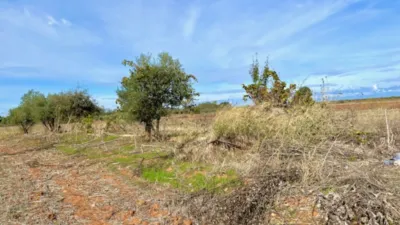 Finca rústica en venta en Polígono Chozuelas, Número S/N, Calera y Chozas de 55.000 €