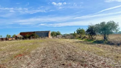 Finca rústica en venta en Polígono Chozuelas, Número S/N, Calera y Chozas de 55.000 €