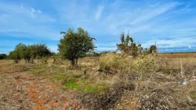Finca rústica en venta en Polígono Chozuelas, Número S/N, Calera y Chozas de 55.000 €