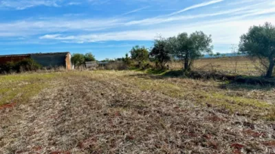 Finca rústica en venta en Polígono Chozuelas, Número S/N, Calera y Chozas de 55.000 €