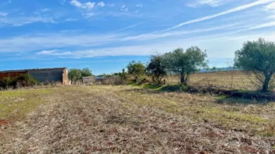 Finca rústica en venta en Polígono Chozuelas, Número S/N, Calera y Chozas de 55.000 €