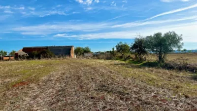 Finca rústica en venta en Polígono Chozuelas, Número S/N, Calera y Chozas de 55.000 €