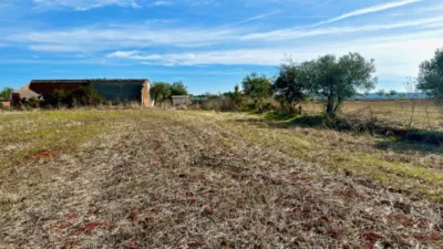 Finca rústica en venta en Polígono Chozuelas, Número S/N, Calera y Chozas de 55.000 €
