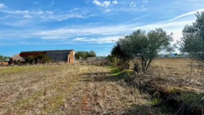 Finca rústica en venta en Polígono Chozuelas, Número S/N, Calera y Chozas de 55.000 €