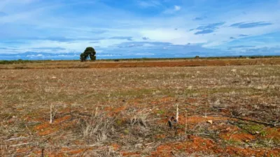 Finca rústica en venta en Polígono Chozuelas, Número S/N, Calera y Chozas de 55.000 €