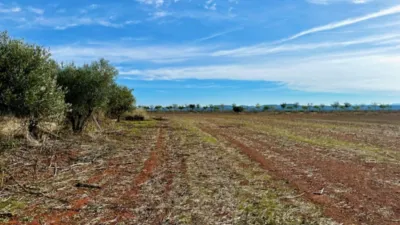 Finca rústica en venta en Polígono Chozuelas, Número S/N, Calera y Chozas de 55.000 €