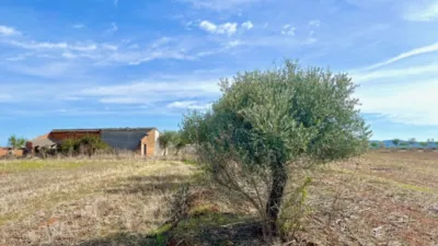 Finca rústica en venta en Polígono Chozuelas, Número S/N, Calera y Chozas de 55.000 €