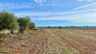 Finca rústica en venta en Polígono Chozuelas, Número S/N, Calera y Chozas de 55.000 €