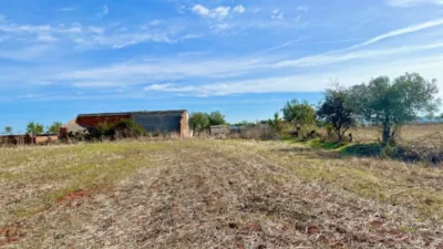 Finca rústica en venta en Polígono Chozuelas, Número S/N, Calera y Chozas de 55.000 €