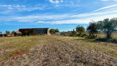 Finca rústica en venta en Polígono Chozuelas, Número S/N, Calera y Chozas de 55.000 €