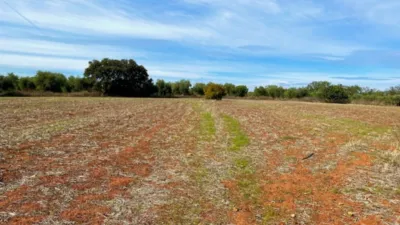 Finca rústica en venta en Polígono Chozuelas, Número S/N, Calera y Chozas de 55.000 €
