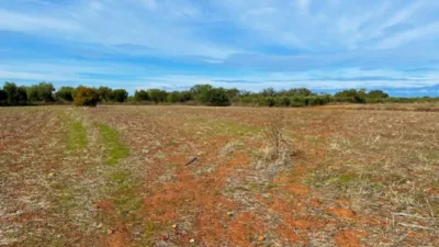 Finca rústica en venta en Polígono Chozuelas, Número S/N, Calera y Chozas de 55.000 €