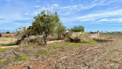 Finca rústica en venta en Polígono Chozuelas, Número S/N, Calera y Chozas de 55.000 €