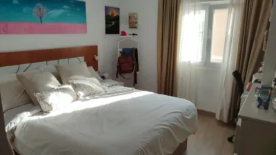 Apartment in San José-Varela-La Laguna photo 10