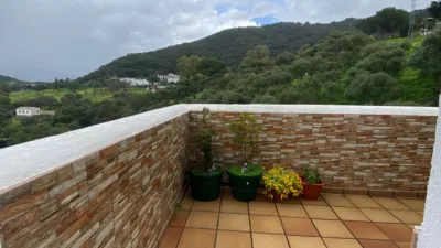 Detached house on Calle Ejido photo 34