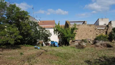 House on Calle Mayor photo 4