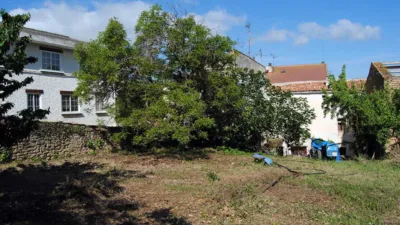 House on Calle Mayor photo 5
