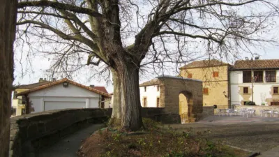 House on Calle Mayor photo 68