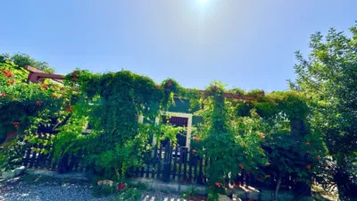 House in Pasaje Carchelinas photo 51