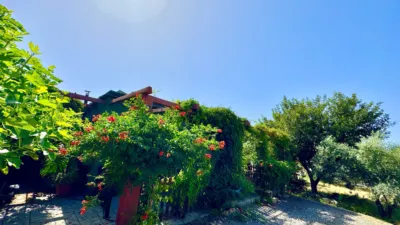 House in Pasaje Carchelinas photo 50