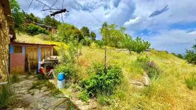 Rustic Finca in Válor photo 12