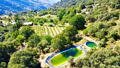Rustic Finca on La Granja Street photo 32