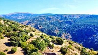 Rustic Finca on La Granja Street photo 53