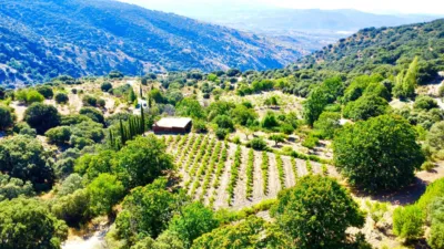 Rustic Finca on La Granja Street photo 24
